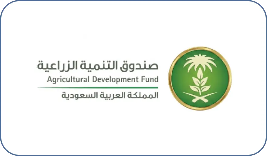 الرئيسية 13